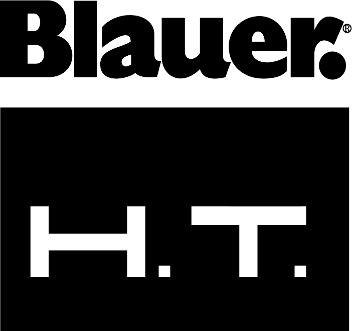 Logo Blauer.KoheU2qP